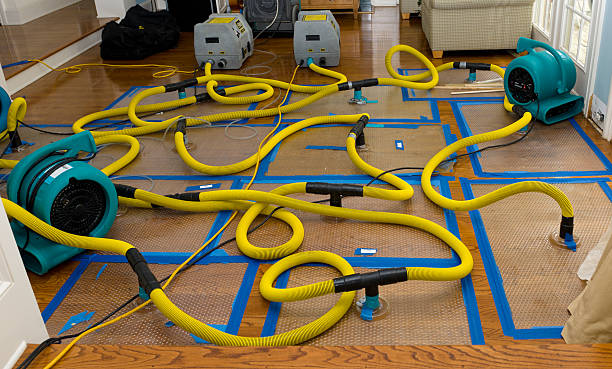 Professional Storm Water Damage Restoration technician working in Martinsville, NJ